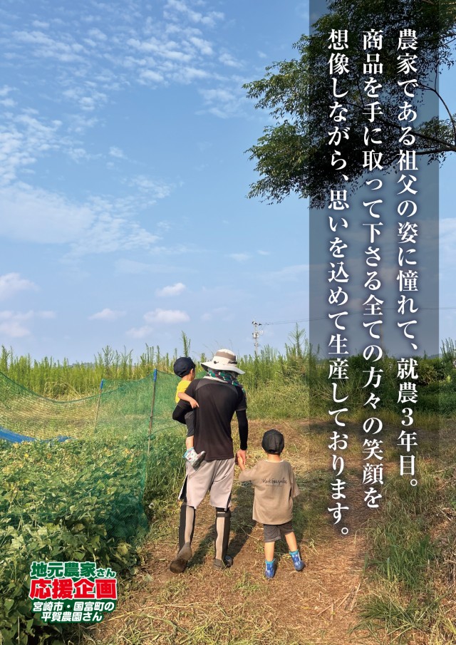 オーパス小松台店の最新情報画像