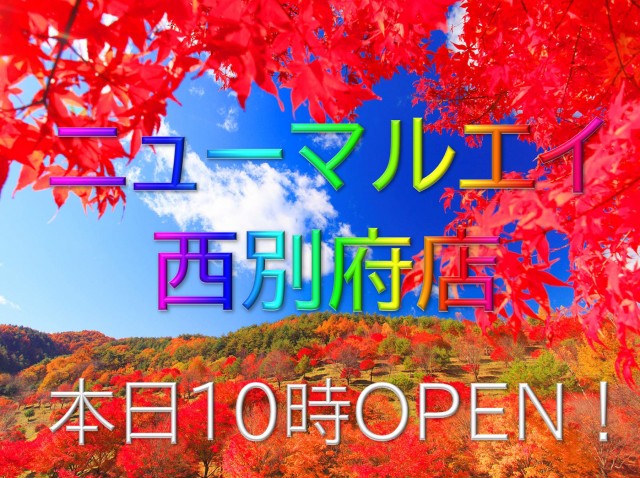 ニューマルエイの最新情報画像