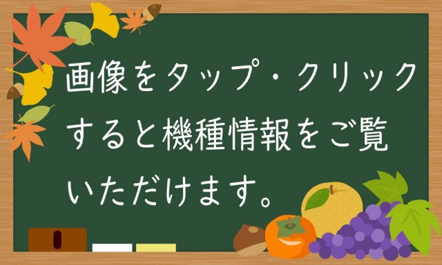ニューマルエイの最新情報画像