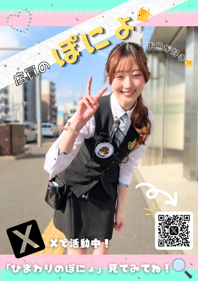 豊平ひまわりの最新情報画像