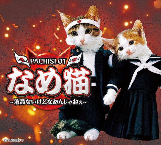 パーラー大洋中種子店の最新情報画像