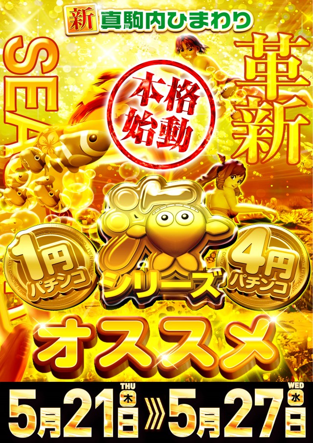 真駒内ひまわりの最新情報画像