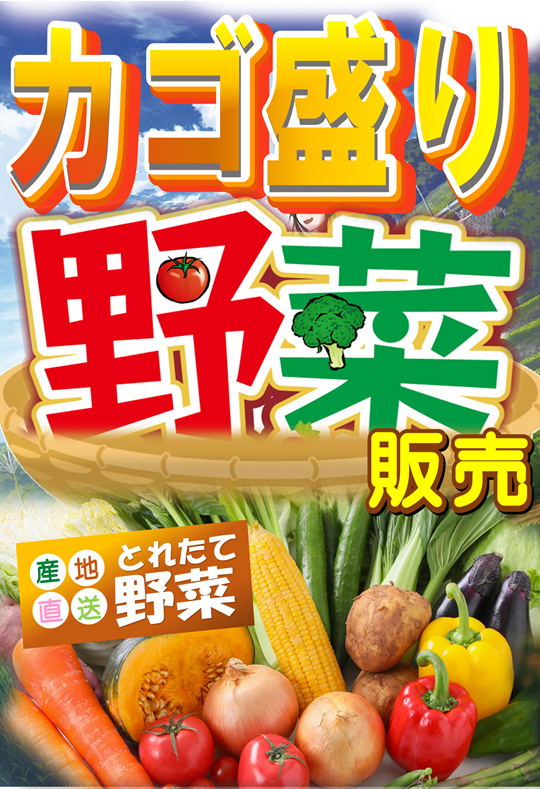 つかさ菊池店の最新情報画像