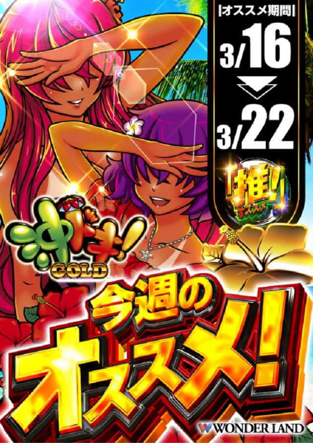 ワンダーランド江北店の最新情報画像