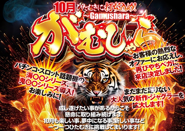 ベガスベガス大谷地店の最新情報画像