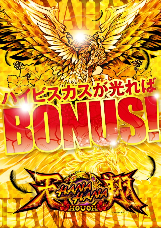 アムズガーデン赤道店の最新情報画像