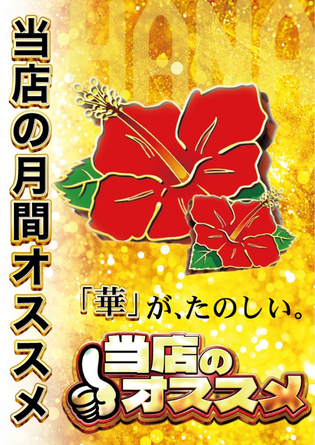 アムズガーデン赤道店の最新情報画像