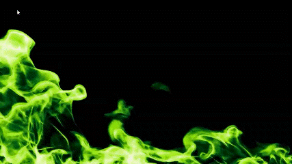 函館ひまわりの最新情報画像