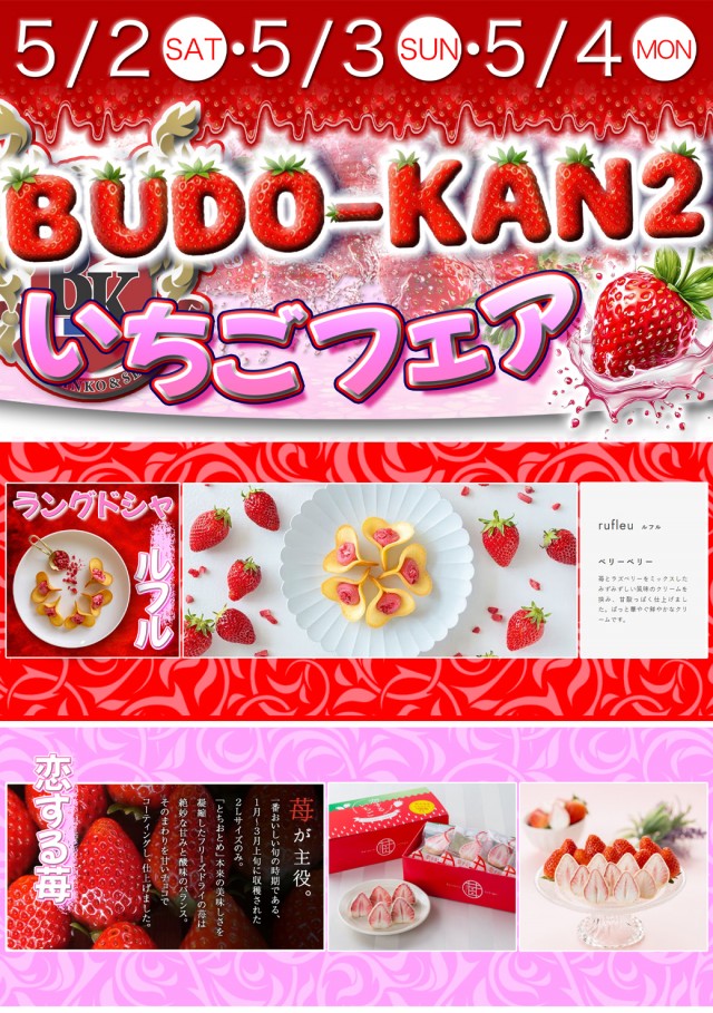 BUDO－KAN2の最新情報画像