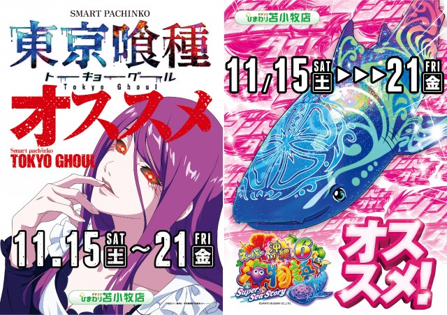 苫小牧ひまわりの最新情報画像