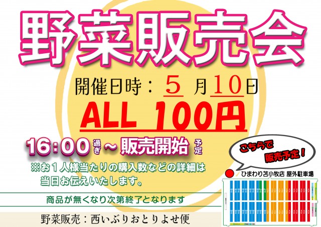苫小牧ひまわりの最新情報画像
