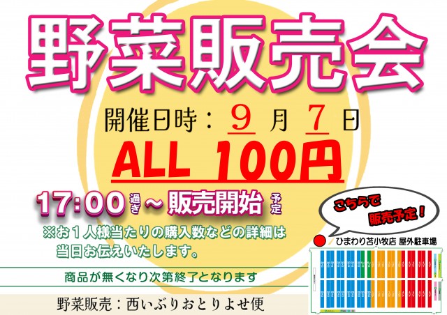 苫小牧ひまわりの最新情報画像