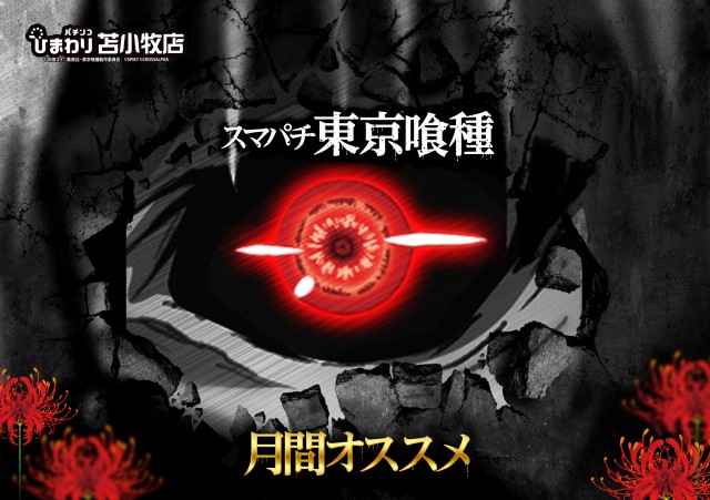 苫小牧ひまわりの最新情報画像