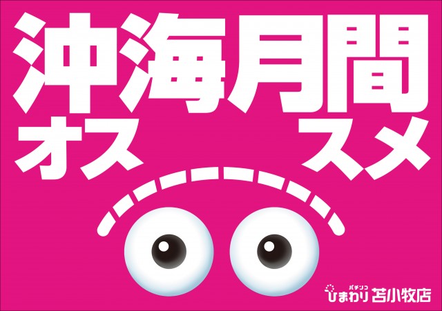 苫小牧ひまわりの最新情報画像