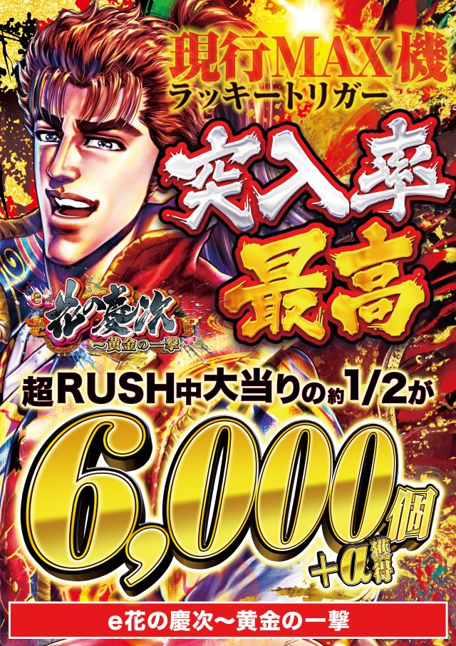 D’STATION太田矢島店の最新情報画像