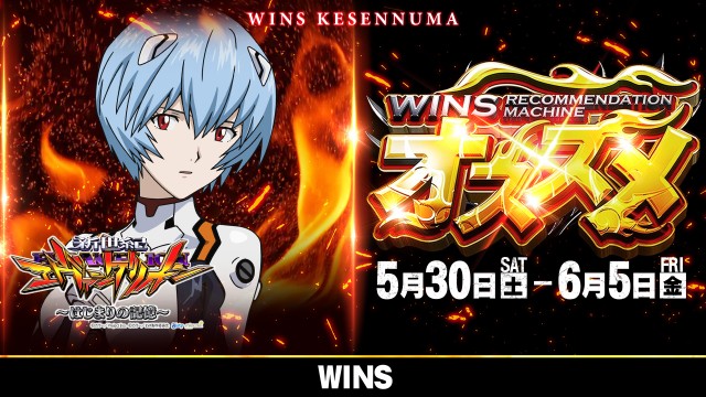 WINS気仙沼の最新情報画像
