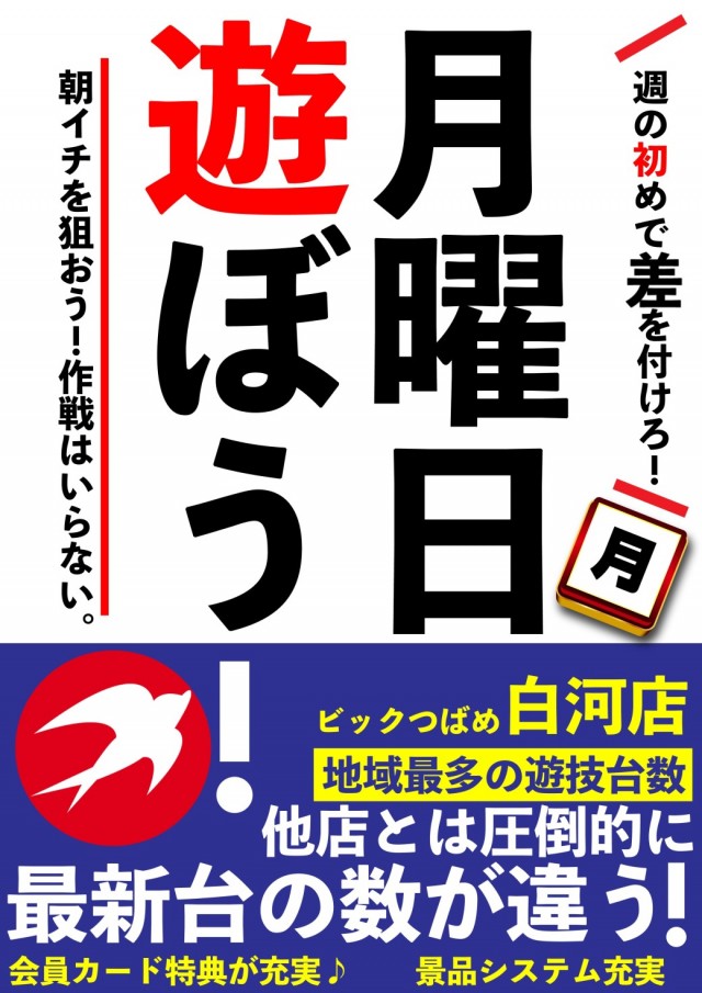 ビックつばめ白河店の最新情報画像