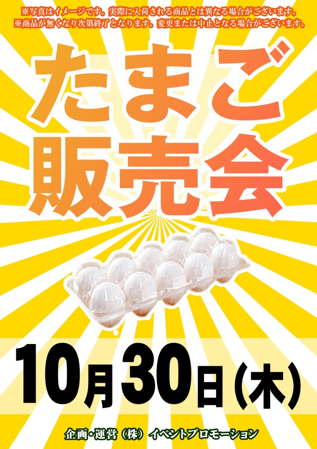 DSG ARENA七尾店の最新情報画像