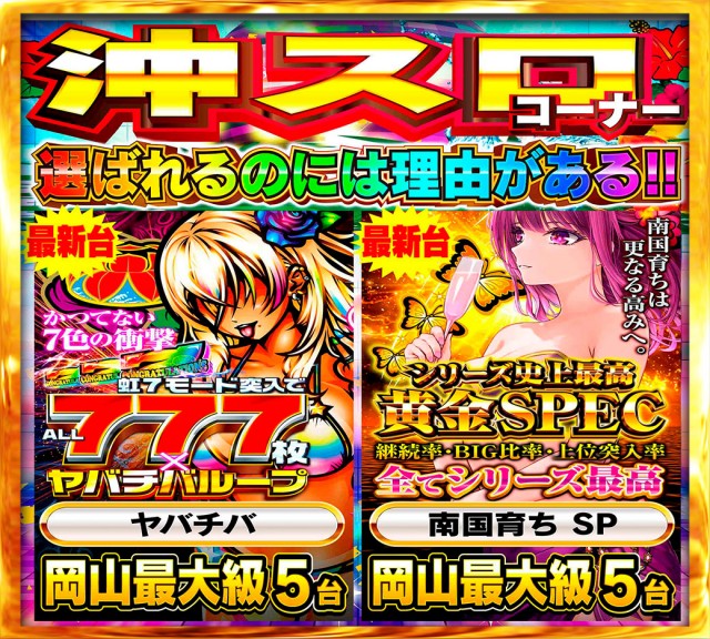 Nikko1000久米店の最新情報画像