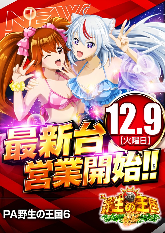 キコーナ石岡店の最新情報画像