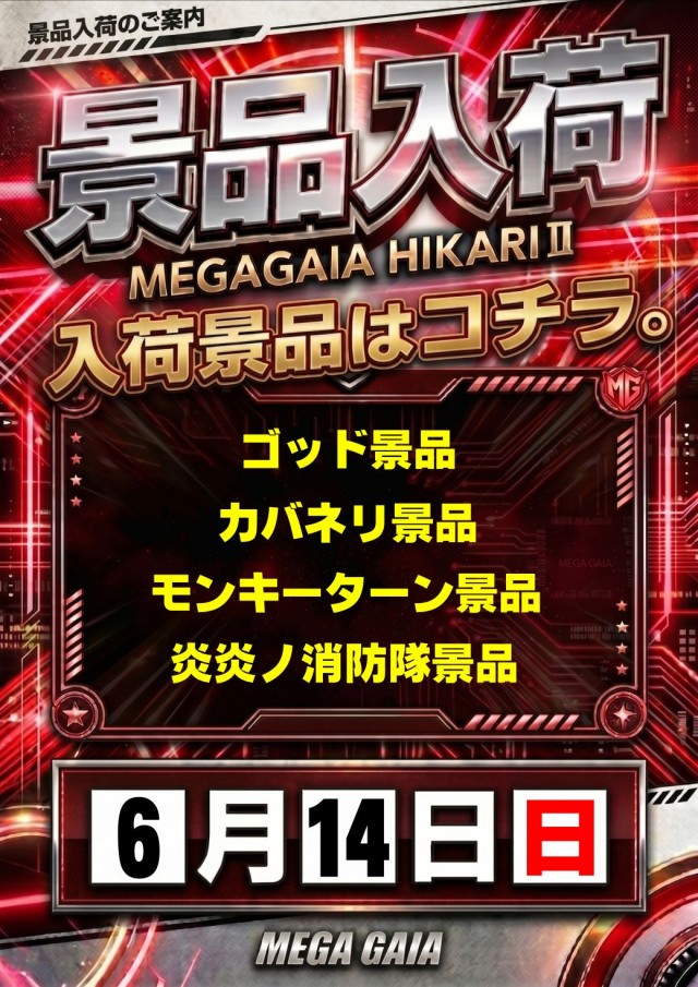 メガガイア光ツインパークIIの最新情報画像