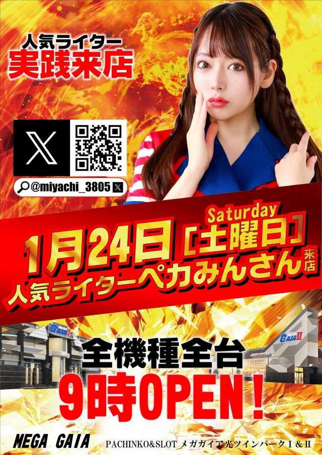 メガガイア光ツインパークⅠの最新情報画像