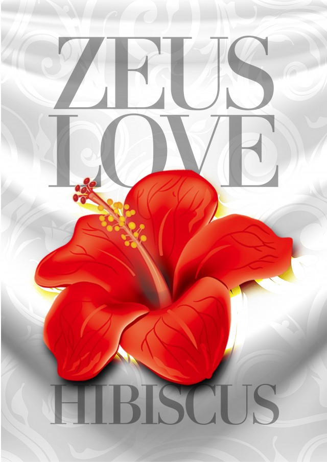 スロットゼウスR16の最新情報画像