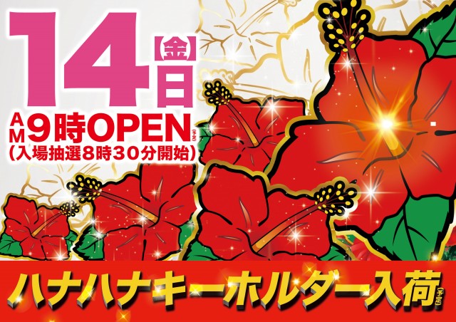 Super D'station上越店の最新情報画像