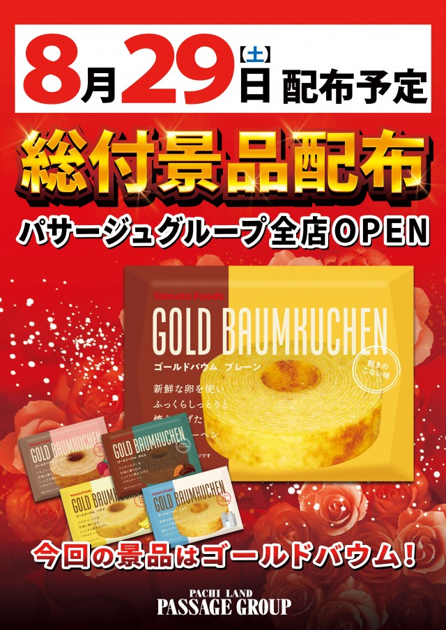 パサージュ456BJの最新情報画像
