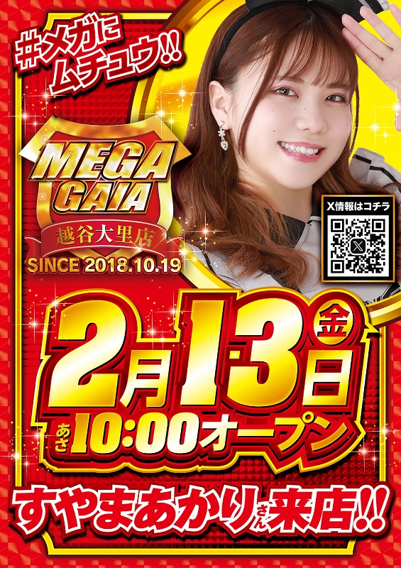 メガガイア越谷大里の最新情報画像