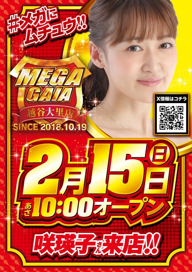 メガガイア越谷大里の最新情報画像