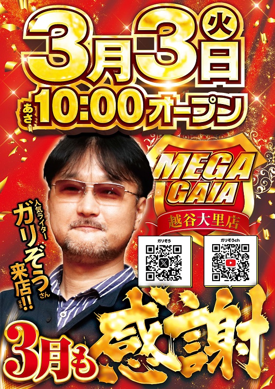 メガガイア越谷大里の最新情報画像