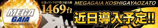 メガガイア越谷大里の最新情報画像