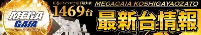 メガガイア越谷大里の最新情報画像