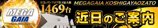 メガガイア越谷大里の最新情報画像