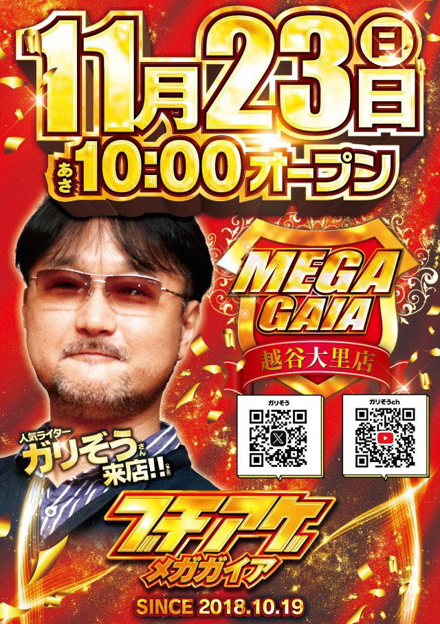 メガガイア越谷大里の最新情報画像