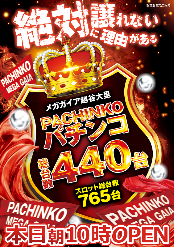 メガガイア越谷大里の最新情報画像