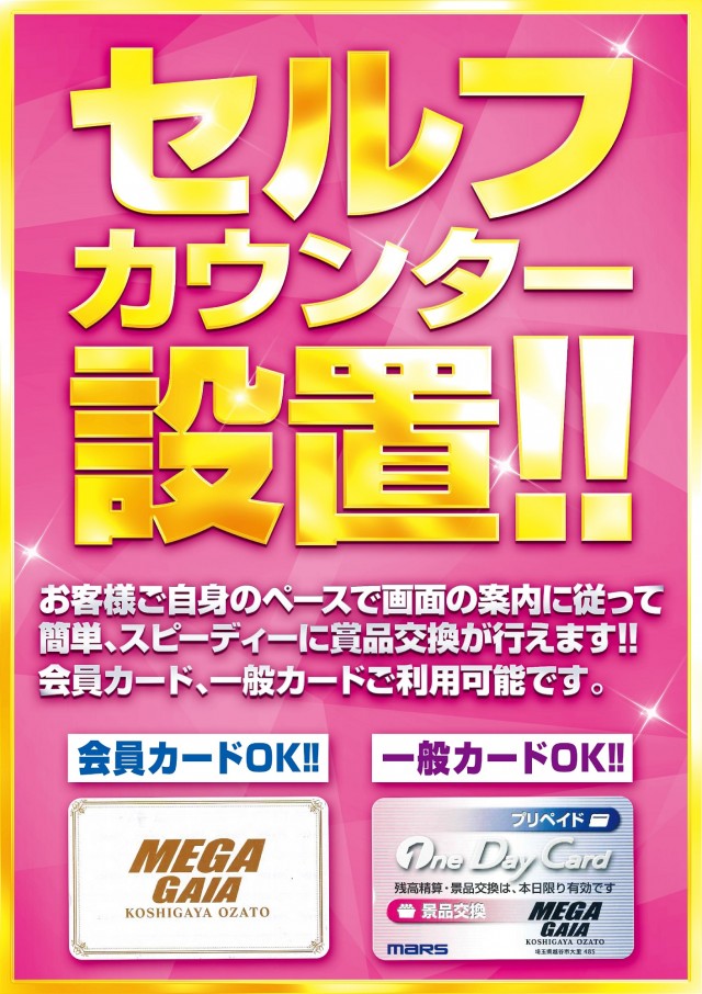 メガガイア越谷大里の最新情報画像