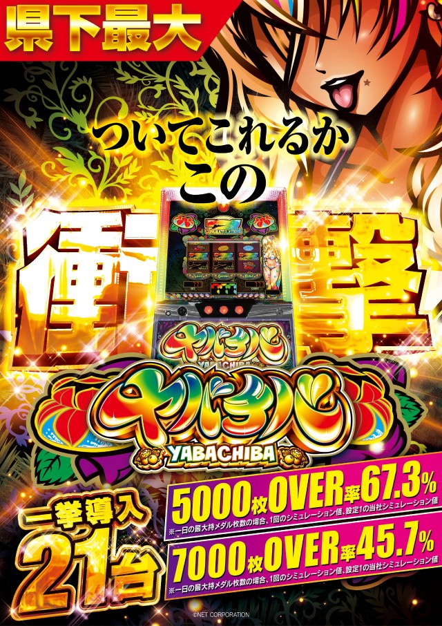 メガガイア越谷大里の最新情報画像