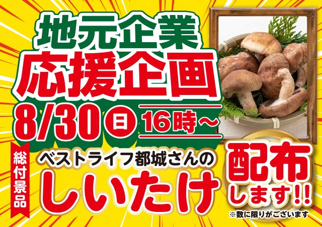 オーパス55日南店の最新情報画像