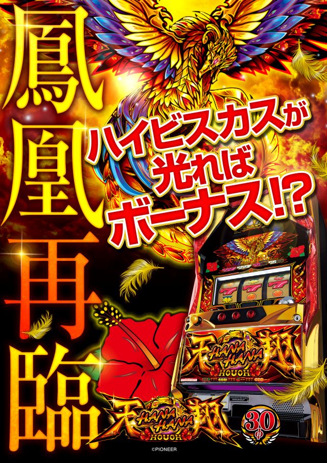 ジョイランド関の最新情報画像