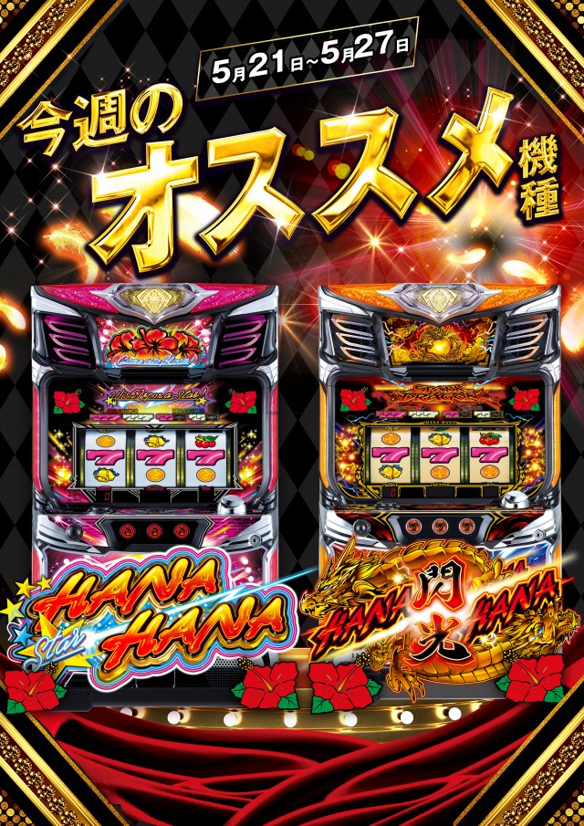 キング666半田店の最新情報画像