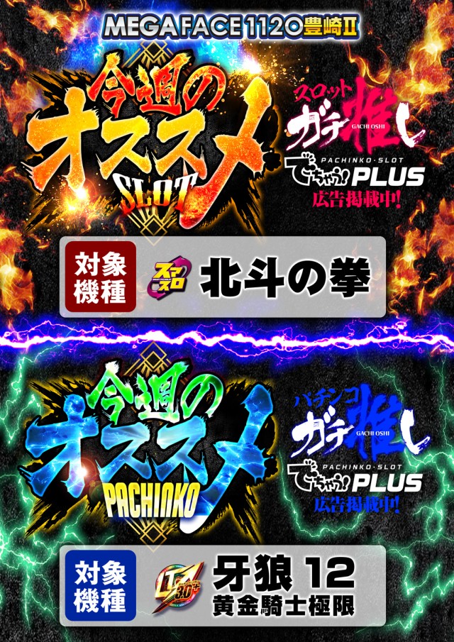 メガフェイス1120豊崎Ⅱの最新情報画像