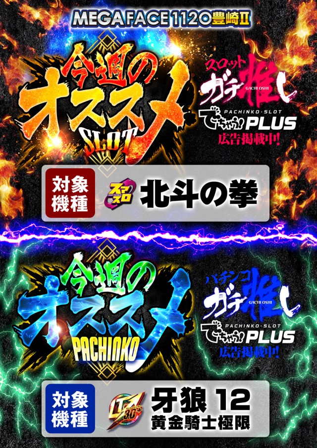 メガフェイス1120豊崎Ⅱの最新情報画像