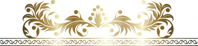 ルート1上鳥羽店の最新情報画像