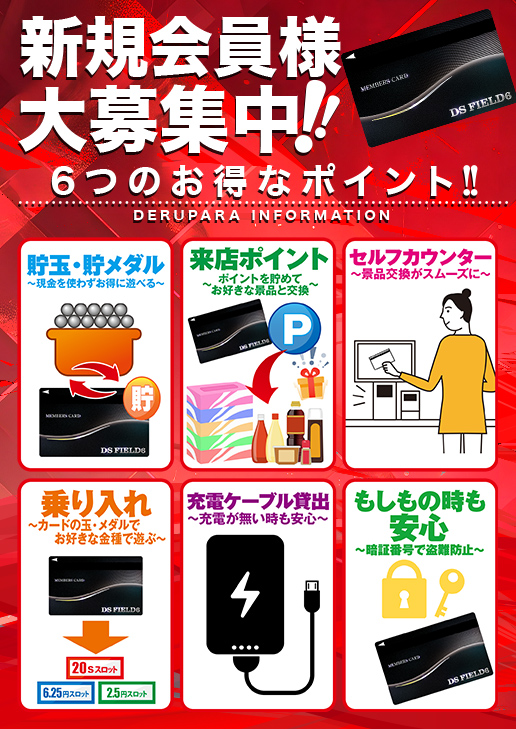 DS FIELD6の最新情報画像