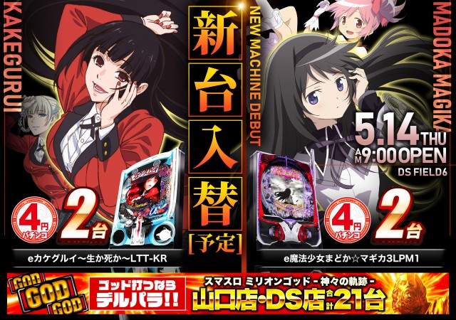 DS FIELD6の最新情報画像