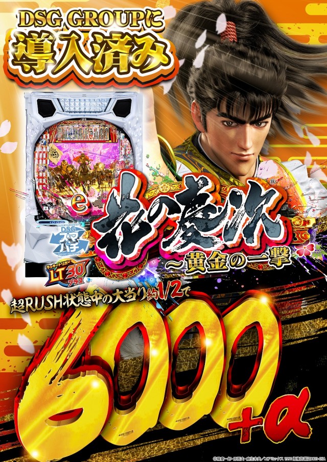 DSG MEGA WORLD 鯖江店の最新情報画像