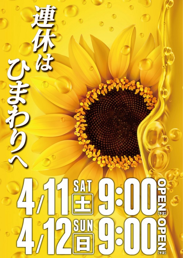 士別ひまわりの最新情報画像