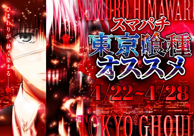 根室ひまわりの最新情報画像